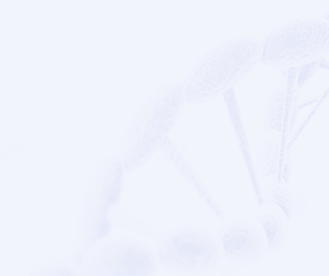 凯发·K8官网 - 天生赢家·一触即发